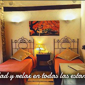 Habitación Estándar con 2 Camas Individuales